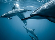 赛后风向变了：热刺发布会话里带刺，技术官员回应对位调整句句有火