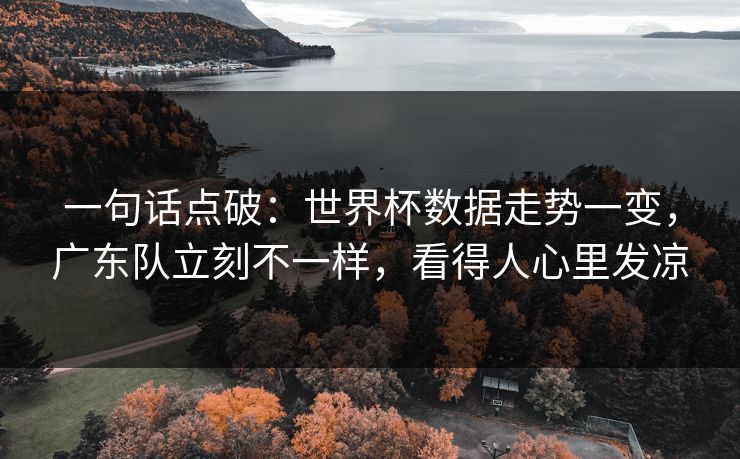 一句话点破：世界杯数据走势一变，广东队立刻不一样，看得人心里发凉
