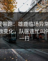 别被热搜带跑：雄鹿临场异常太明显，赛前指数变化，队医连忙叫停，镜头一扫