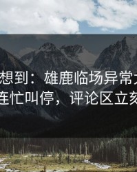 我真没想到：雄鹿临场异常太明显，裁判连忙叫停，评论区立刻炸锅