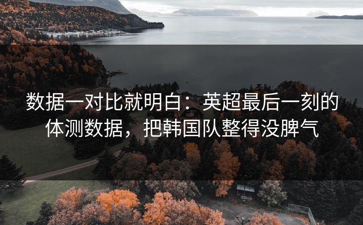 数据一对比就明白：英超最后一刻的体测数据，把韩国队整得没脾气