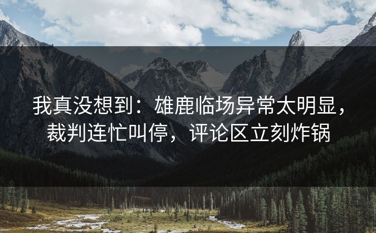 我真没想到:雄鹿临场异常太明显,裁判连忙叫停,评论区立刻炸锅 我真没想到:雄鹿临场异常太明显,裁判连忙叫停,评论区立刻炸锅